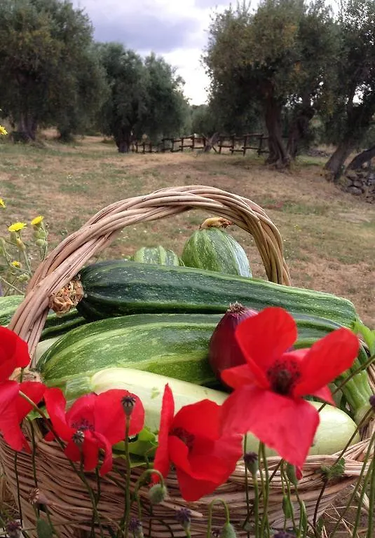 Agriturismo Prati degli Orti Montiano  Italia