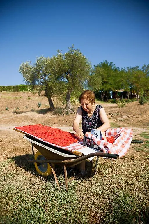 Alloggio per agriturismo Agriturismo Prati degli Orti Montiano