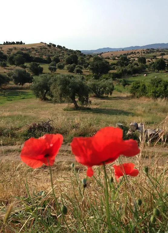 Agriturismo Prati degli Orti Montiano