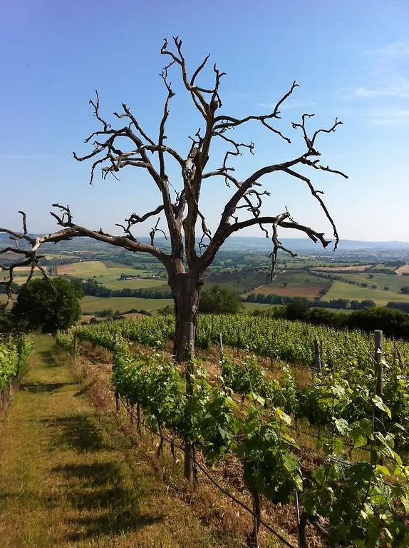 Agriturismo Prati degli Orti Montiano  Alloggio per agriturismo Montiano (Tuscany)