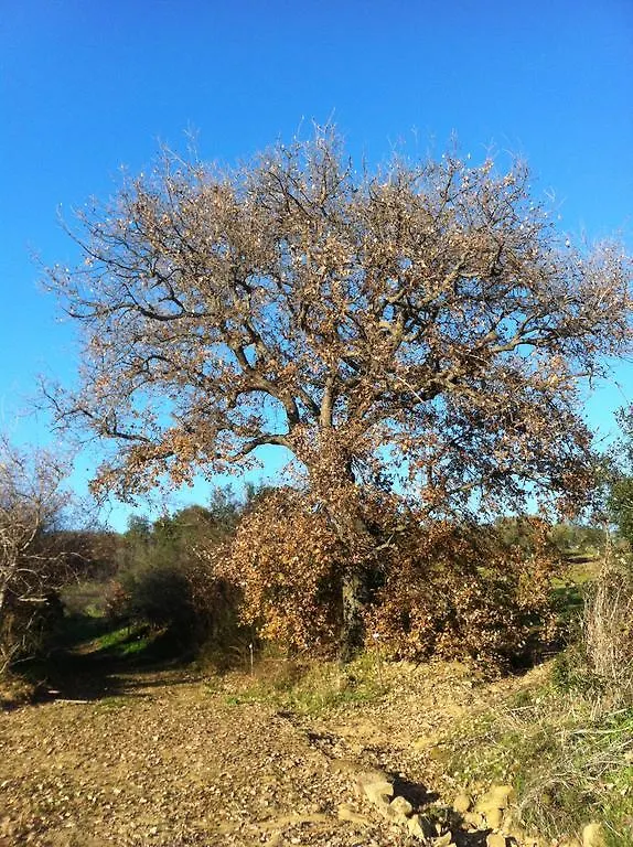 Agriturismo Prati degli Orti Montiano  Montiano (Tuscany)