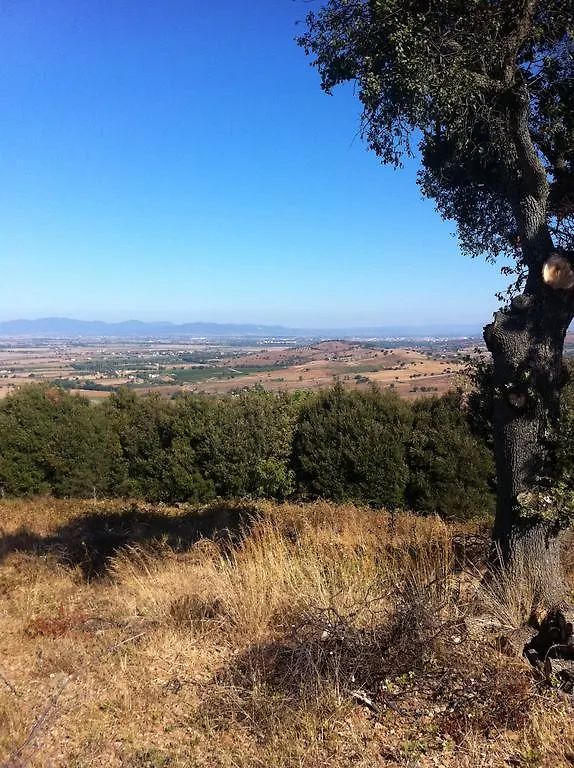 Agriturismo Prati degli Orti Montiano  0*, Montiano (Tuscany)