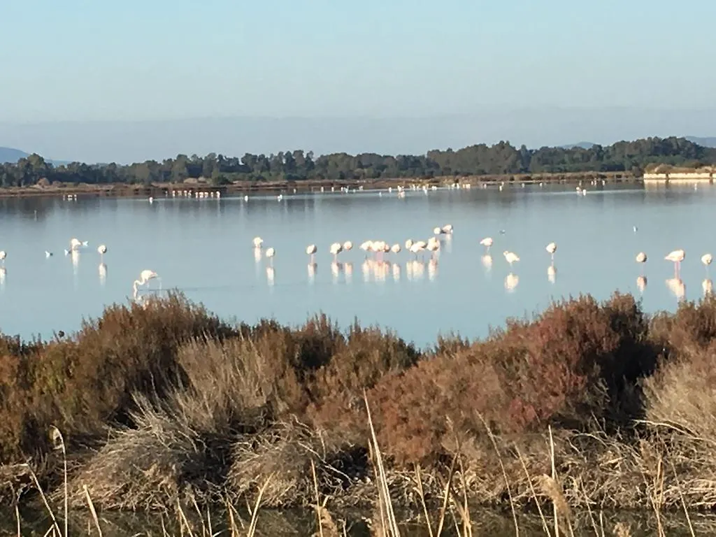 Farmház Agriturismo Prati Degli Orti Montiano  Olaszország