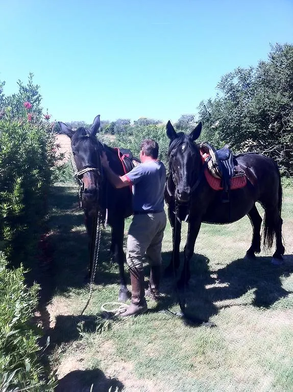 Farmház Agriturismo Prati Degli Orti Montiano  Olaszország